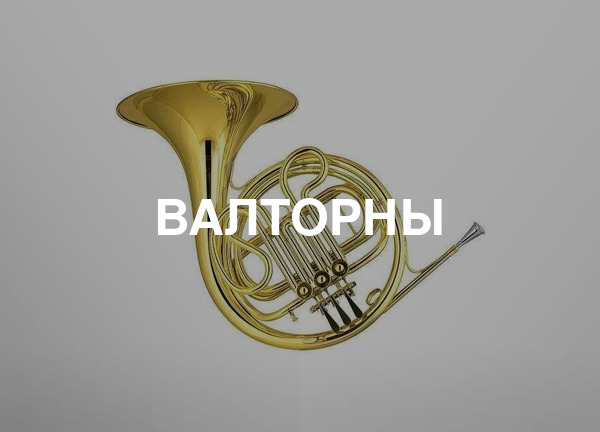 Валторны